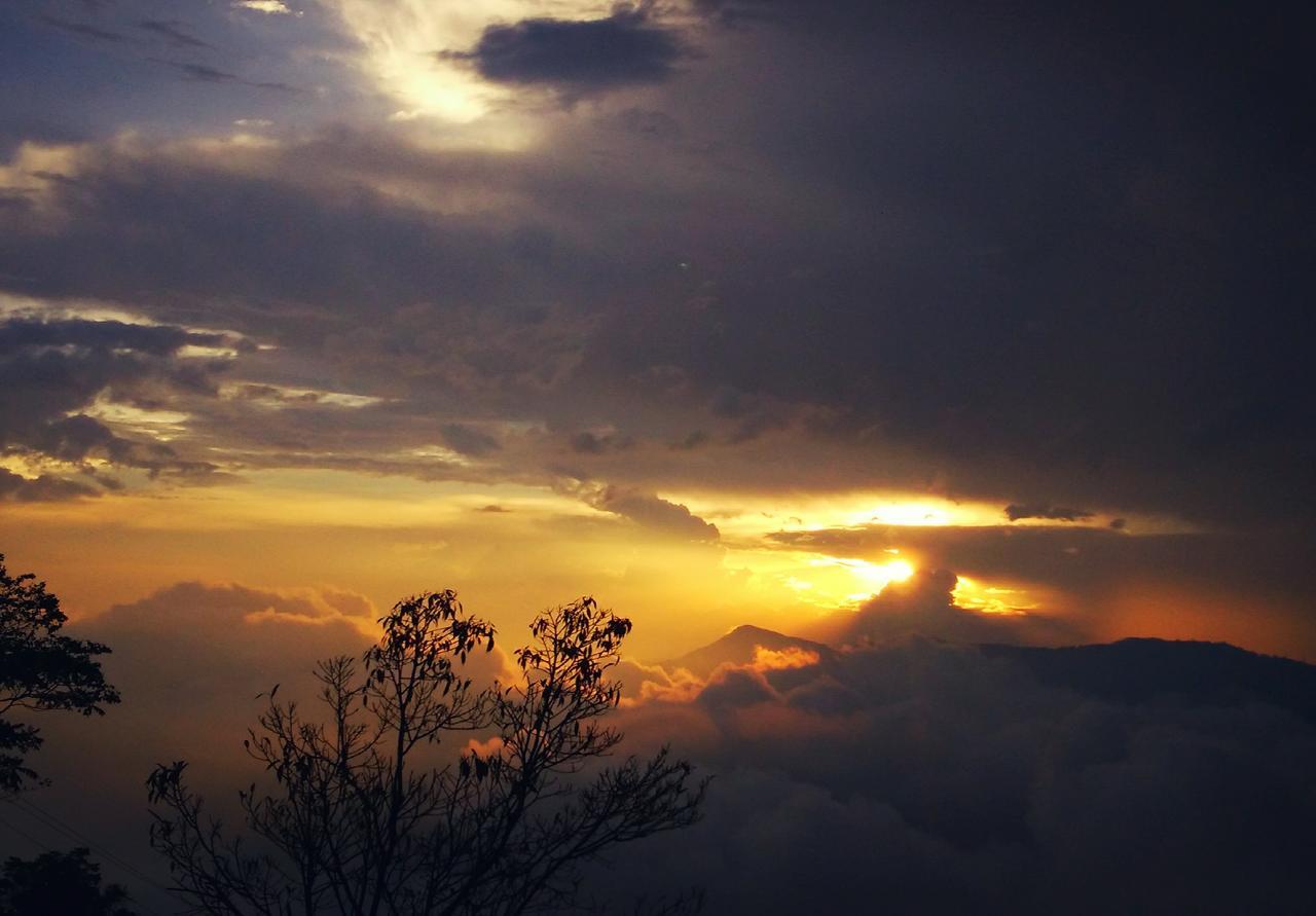 Family Homestay Kurseong Zewnętrze zdjęcie